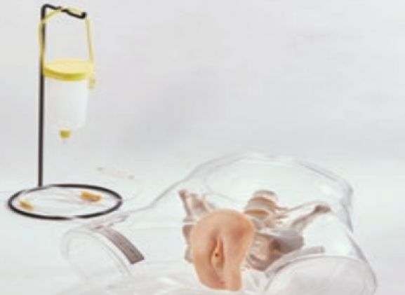 https://www.jayakelana.id/uploads/product/transparent-female-catheter-model-9987643ffdd9207_cover.png