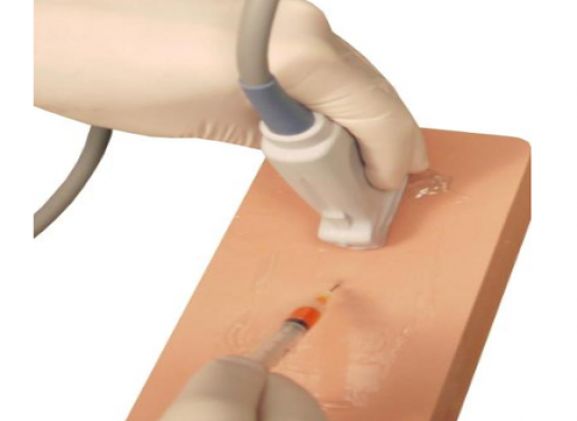 https://www.jayakelana.id/uploads/product/venipuncture-pad-dengan-saraf-643524dc40e3ff1_cover.png