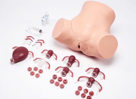 https://www.jayakelana.id/uploads/product/zoe-pelatih-keterampilan-375185c3d8b3cf5_cover.png